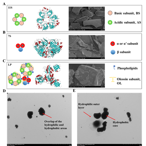 图片包含 应用程序 描述已自动生成