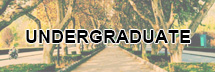 UNDERGRADUATE