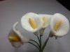 White Calla Lillies Large*